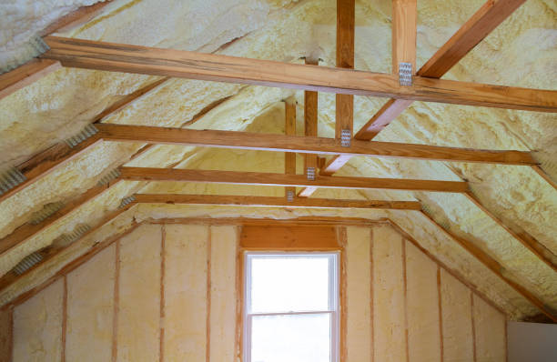 Best Insulation Maintenance and Repair in Lakeland, GA