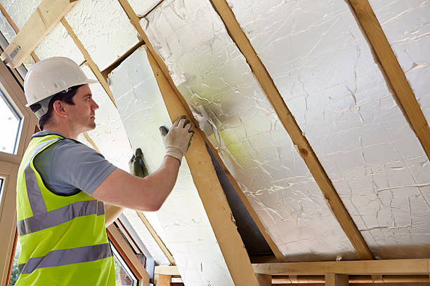 Best Insulation Maintenance and Repair in Lakeland, GA